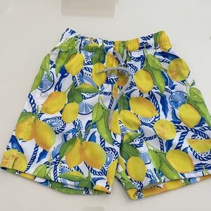 Kenny Flowers Lemonade Stand Positano Swim Trunks Shorts
